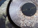 Snail Mail - Ricochet Deluxe Seashell Filled Vinyl LP /100 *** IN HAND ***