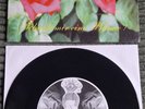 Broilers - Schenk mir eine Blume Vinyl 7