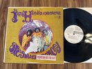 JIMI HENDRIX   ARE YOU EXPERIENCED “PROMO”   REPRISE MONO   Orig. WHITE LABEL