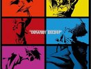COWBOY BEBOP LP Box Set First Press Limited Edition Analog 11Disc Record Anime