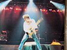 Bruce Springsteen Alpine Valley Vol 1 & 2 Live 1984 Bootleg  4 LP Vinyl Set
