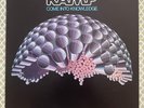 RAMP Come Into Knowledge ROY AYERS JAZZ SOUL FUNK LP VG++ RARE HEAR