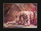 Atomic Rooster - DEATH WALKS BEHIND YOU