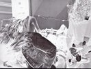 NIRVANA on LP 