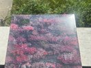 SLEEP TOKEN - EVEN IN ARCADIA 2LP Vinyl *GOLD Indie Exclusive* (UK Import) *NEW*