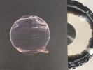 The Silent Planet - When the End Began LP 2018 Solid State [Black/White Smash]