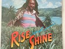 Peter Broggs ‎– Rise And Shine LP Vinyl Roots Reggae 1985 RAS