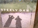 Steely Dan--- Two Against Nature vinyl 45 RPM 180 gram
