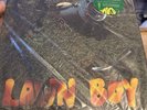 Lawn Boy by Phish (Record, 2013)
