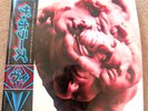The Horrors V 2xLP Black Vinyl 12