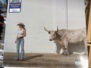 Kacey Musgraves middle of nowhere dusty denim vinyl LP iron on patch new sealed