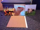 Vinyl Bundle For Private Buyer Pink Floyd