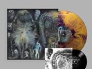 Dinosaur Jr. There Near Purple & Gold Splash Opaque LP w/ 7