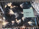ORBITAL Halcyon Rare Vinyl 33 RPM 12