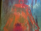 Nirvana Bleach LP 12