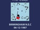 The Cure - BBC In-Concert Birmingham NEC 1987 Pt.2 Clear Vinyl 10