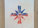 Far Cry 5 Soundtrack Vinyl LP + Steelbook (MINT)