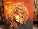 Janet Jackson – The Velvet Rope 2LP Vinyl 1997 UK Original V2860 w/ Inners