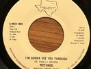 PICTURES I'm Gonna See You Through SOUTHWEST EXPERIENCE MODERN SOUL BOOGIE 45