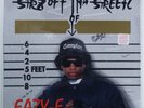 EAZY-E Str8 Off Tha Streetz RUTHLESS 88561-5504-1/2/4 LP promo SEALED t