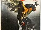 Budgie In For The Kill MCA Records MCA 429 US Pressing EX Vinyl Hard Rock 1974