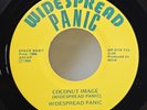 GRAIL 45  - Widespread Panic - Coconut Image - OG Press -   - VG++