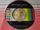 Snotty Florida Garage Punk Classic 45 The Rovin' Flames How Many Times HEAR