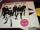 RADIO BIRDMAN RADIOS APPEAR LP PROMO SIRE RECORDS SRK6050 FROM 1978 VG+ VINYL