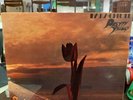 Pretty Things Parachute A-2 B-2 LP Album Original Vinyl Record SHVL 774