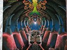 Monstrosity Imperial Doom LP Vinyl Schallplatte Cover/Artwork