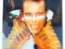 Adam and the Ants Adam Ant Kings of the Wild Frontier 2016  vinyl still sealed