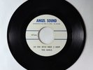 Funk Psych Acetate 45 - Earls - Do You Know What I Mean - unreleased? VG+
