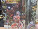IRON MAIDEN RECORD 
