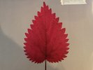 Depeche Mode – Freelove – P12BONG32 – UK 12″ Promo mit Bildhülle