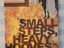 Dear And The Headlights Small Steps Heavy Hooves 2xLP GOLD /700