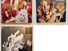 Hole Pretty On The Inside Splatter Live Through This & Celebrity Skin Zoetrope