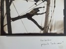 Tim Hecker – Radio Amor (2003 press) Vinyl Record