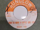 Ricky Vee Chicano Texas 45