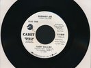RARE Terry Callier Ordinary Joe / Golden Circle Of Your Love Vinyl 45 Cadet 1972