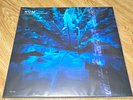 Hum Downward Is Heavenward Earth Analog Records Vinyl Record LP Rock
