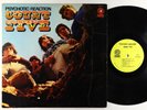 Count Five - Psychotic Reaction LP - Double Shot Mono