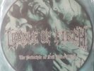 CRADLE OF FILTH - THE PRINCIPLE OF EVIL MADE FLESH - PICTURE LP