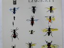 SYD BARRETT BARRETT ODEON OP80173 1LP