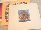 Talk Talk – Spirit of Eden, Colour Of Spring, It's My Life