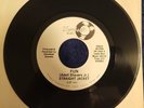Straight Jacket - Fun / The Greatest Part Of Loving EX RARE Detroit Soul 45