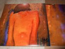 BLUR : 13  2LP 1999 EMI FOOD EU +OIS