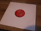 SUPER RARE Vinylgroover THE RAVE THEME Happy hardcore Techno Phobic