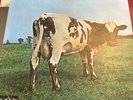 PINK FLOYD ATOM HEART MOTHER RED VINYL LP RECORD ODEON LABEL INSERT