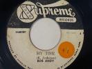 Bob Andy/Roy Richards My Time Reggae 45 